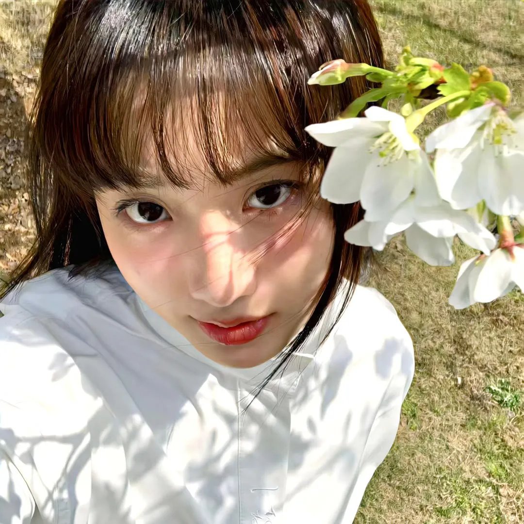 我的新野蛮女友
