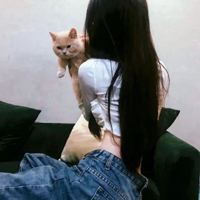动画综艺